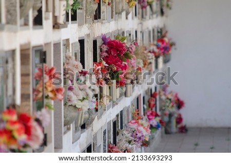 flower arrangements in wall niches of a cemetery. cemetery with the tombs and their flowers