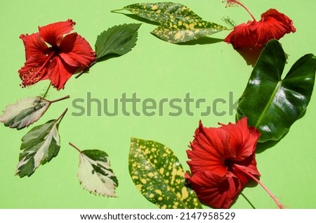Flower background with blank space to write text font and wishes. Green backdrop poster with flora and leaves designs