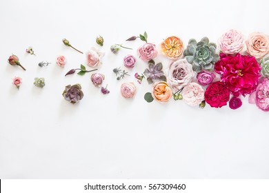 Flower Background Horizontal Photo On White Background