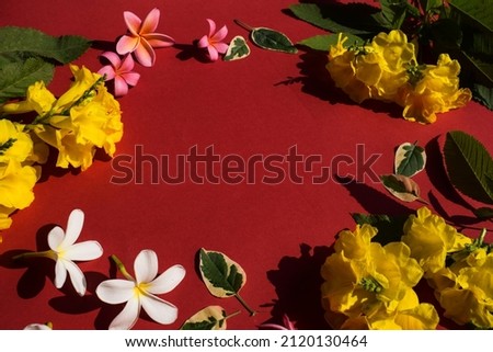 Flower background photo with Blank solid red background space in center and surrounded by beautiful flowers of White Frangipani, Pink champa, Yellow elder flowers with leaves.Space to write text font