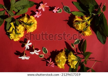 Flower background photo with Blank solid red background space in center and surrounded by beautiful flowers of White Frangipani, Pink champa, Yellow elder flowers with leaves.Space to write text font
