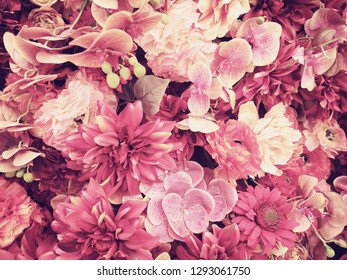 flower background, pink color, valentine 