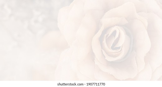 958,246 Soft floral background Images, Stock Photos & Vectors ...