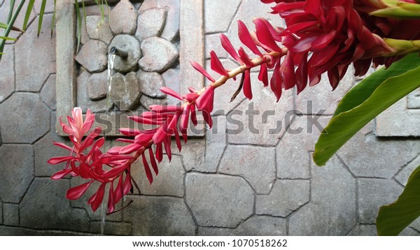 Flower Bali Style Interior Design Background Stock Photo