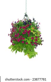 Flower Basket Hanging Isolated