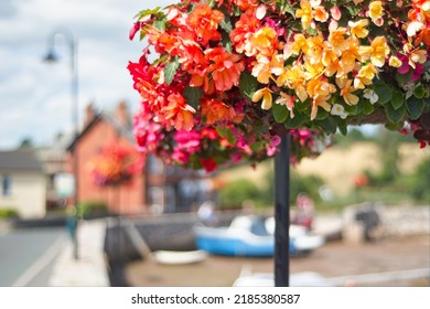 Flower basket in sharp focus with a pretty road and harbor in soft focus behind. Ideal editorial image full of color and quaint charm - Shutterstock ID 2185380587