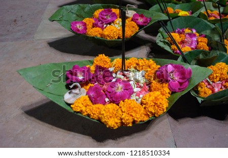 Pilgrims Flower