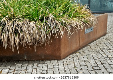 the flower bed is bordered by a rusty sheet metal design. perennials and grass bloom in the flowerbed. paving stone cubes between two flowerbeds. are benches