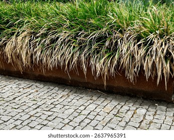 the flower bed is bordered by a rusty sheet metal design. perennials and grass bloom in the flowerbed. paving stone cubes between two flowerbeds. are benches
