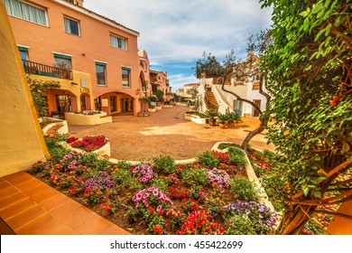 Flower Bed In Porto Cervo, Sardinia