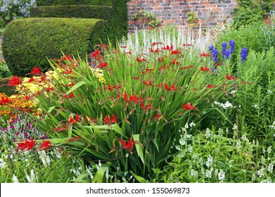 Flower Bed With Red Crocosmia Flowers In A Garden.