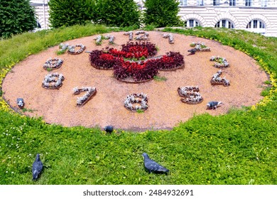 Flower bed in shape of clock. Walking pigeons.
