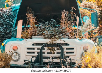 Flower Bed Under The Hood Of Old Truck. Vintage White And Blue Car With Round Headlights And Open Hood With Plants And Flowers