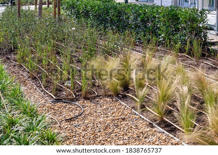 Image, Stock Photo Drip Drip Stone Line