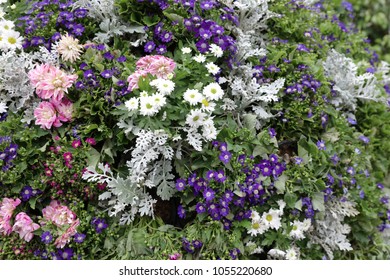 a flower beds in formal of garden - Shutterstock ID 1055220680