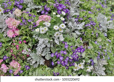 a flower beds in formal of garden - Shutterstock ID 1055220692