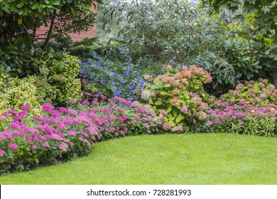 Flower Beds In A Home Garden With Bushes And Pink Stone Crops, Even Called Sedum