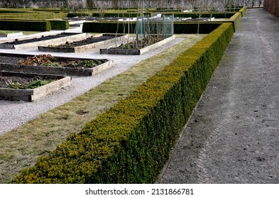 flower beds in the monastery garden at the castle, park paths of bright colors. cut summer castle parterre with boxwood hedges honestly trimmed around which the path leads from light gravel, spring