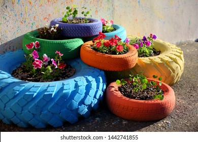 flower beds for Petunia from old car tires
