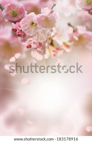 Similar – Spring blossom with blur