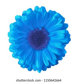 Blue Flower Isolated On White Background Stock Photo 1751882954 ...