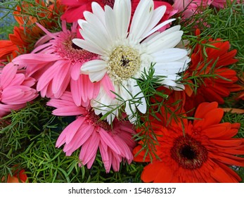 flower bookay photo for your special one