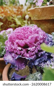 #flower #botanicalgarden #photography #godawari #unique 