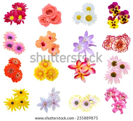 Flower bouquet: seasonal various Flowers isolated