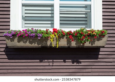 A flower box of colorful flowers and green hanging vines.  The wooden flower box hangs under a glass window with white trim and shutters. The exterior of the  house is brown clapboard siding.  - Powered by Shutterstock