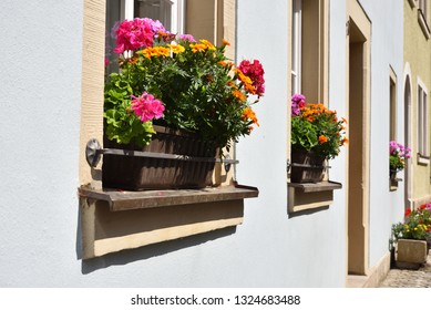 flower box, European style