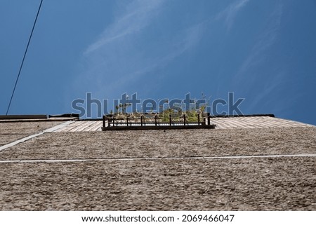 Foto Bild sommer vorm balkon Natur