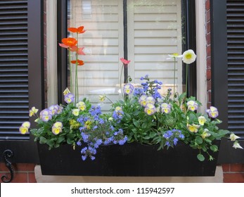 Flower box in window of a brownstone building