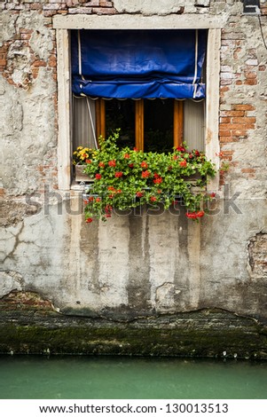 Flower boxes below a window in Venice, Italy