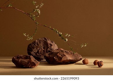 A flower branch, walnuts and some stones with brown minimal scene