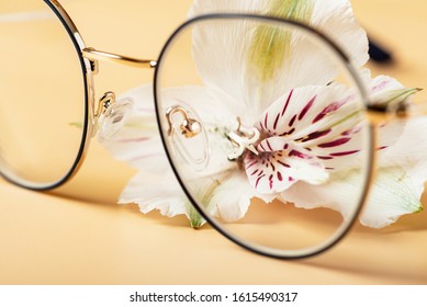 Flower Bud To See Through The Lenses Of Glasses, Close-up, Selective Focus. Blueberries Are Good For Vision Concept.