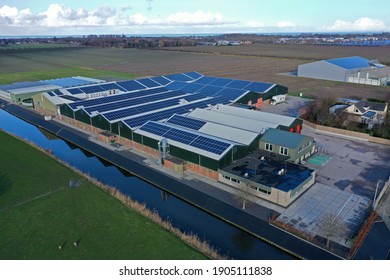 Flower Bulb Company With Solar Panels In A Row On A Roof. Photo Taken With A Drone