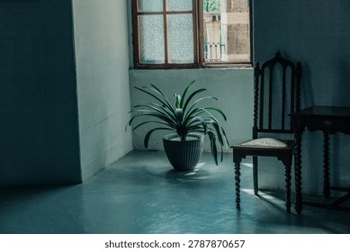 Flower by open window inside old room on floor, summer, melancholic atmosphere.