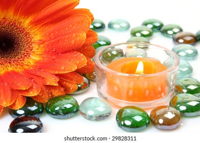 Flower and candle