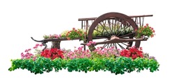 Flower Cart Isolated Include Clipping Path On White Background