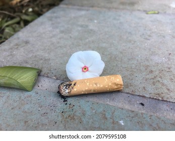 Flower and cigarette bud on surface