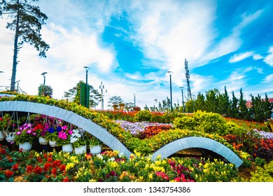 Flower City, Dalat