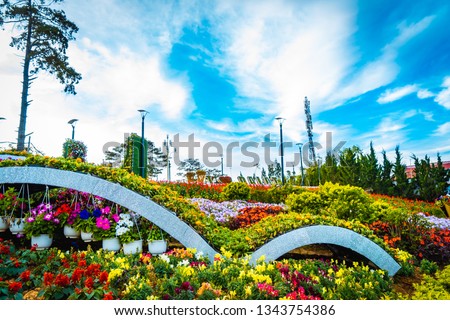Flower city, Dalat