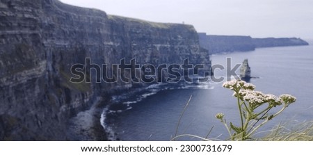 Similar – Ireland, Cliffs of Moher, woman, hiking