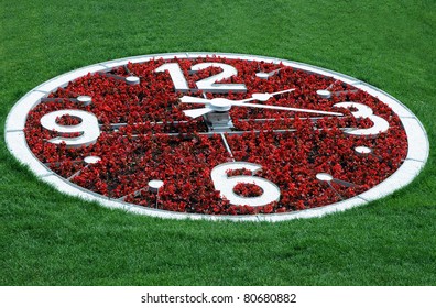 Flower clock against the background of green grass