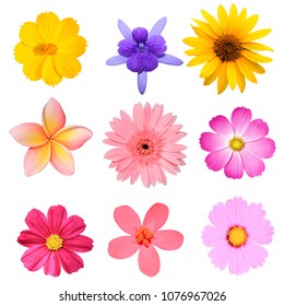flower collection isolated on white background.   - Shutterstock ID 1076967026