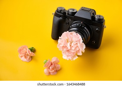 Flower come out of the photo camera. Camera with Flowers over yellow background. Spring mood. - Powered by Shutterstock