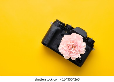 Flower come out of the photo camera. Camera with Flower over yellow background. Spring mood - Powered by Shutterstock