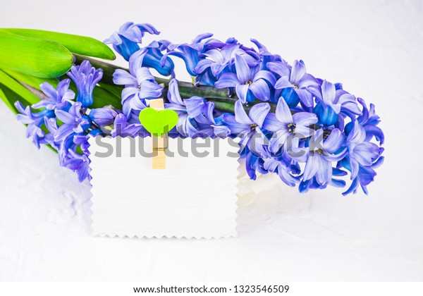 Flower Composition Blue Hyacinth Lies On Stock Photo Edit Now