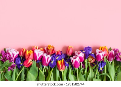 Flower composition. Border with colorful spring flowers on a pastel pink background. Valentines day, mothers day, womens day concept. Space for text. Top view, flat lay.
