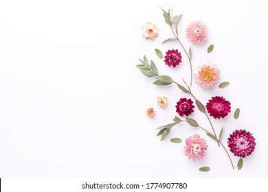 Flower Composition. Eucalyptus Branches And Dry Flowers On White Background. Flat Lay. Top View. Copy Space - Image